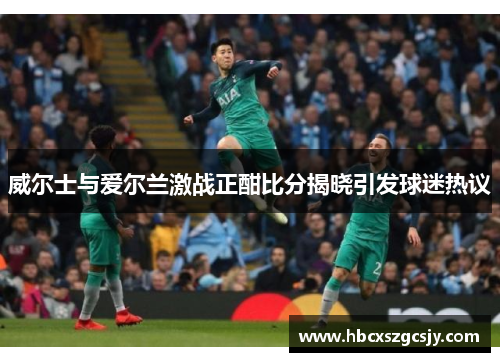 威尔士与爱尔兰激战正酣比分揭晓引发球迷热议