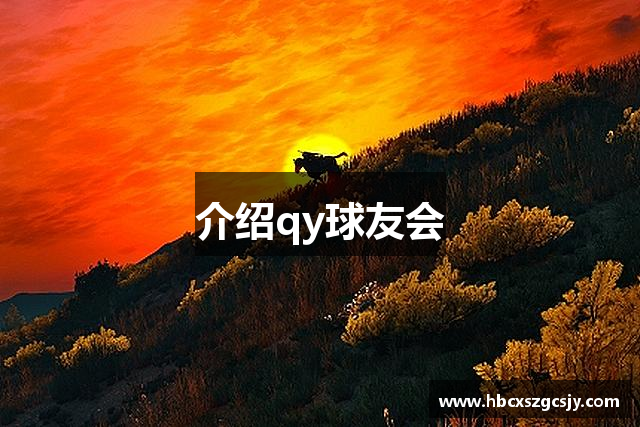 介绍qy球友会